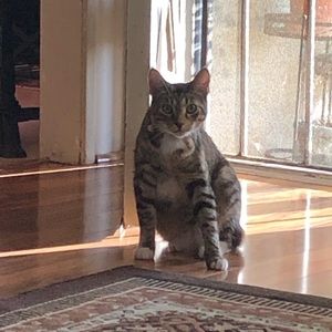 Meet your Posher, Erick